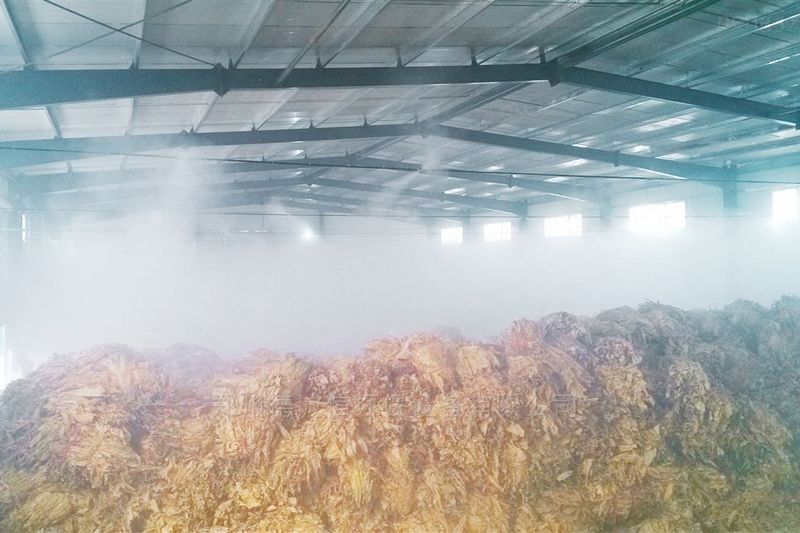 提升煙葉加工質量，高效回潮很重要