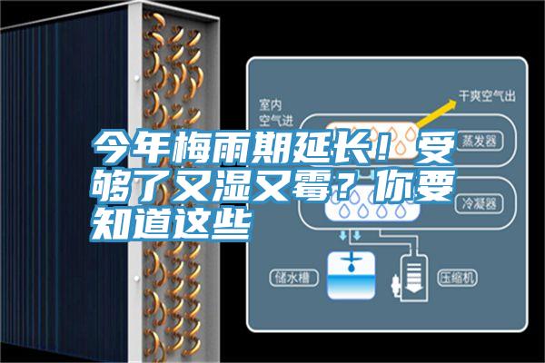 今年梅雨期延長！受夠了又濕又霉？你要知道這些