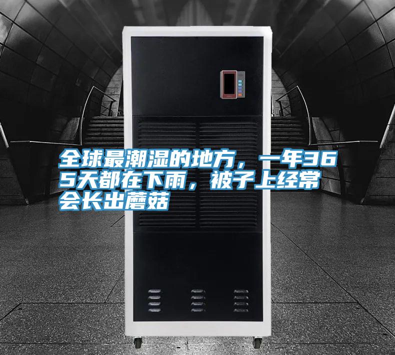 全球最潮濕的地方，一年365天都在下雨，被子上經(jīng)常會(huì)長(zhǎng)出蘑菇