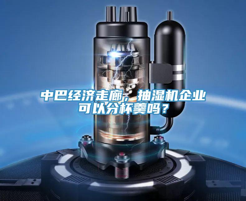 中巴經濟走廊，抽濕機企業可以分杯羹嗎？