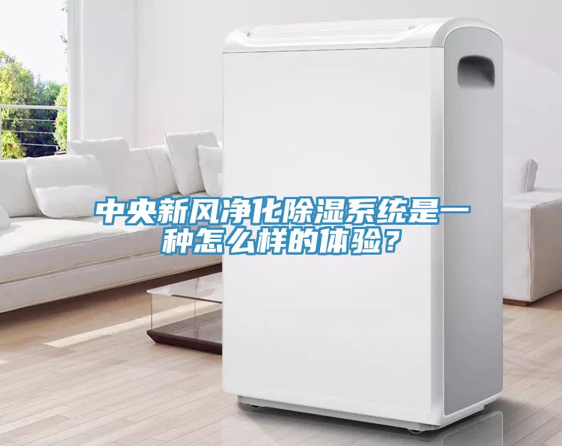 中央新風凈化除濕系統是一種怎么樣的體驗？
