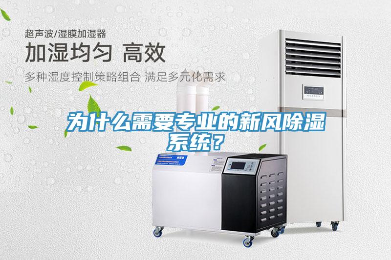 為什么需要專業的新風除濕系統？