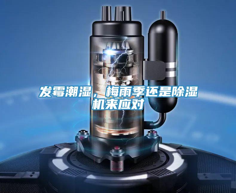 發霉潮濕，梅雨季還是除濕機來應對