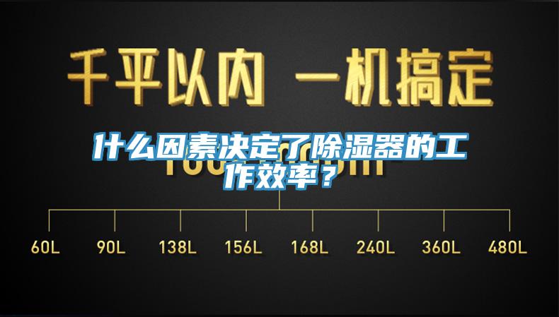 什么因素決定了除濕器的工作效率？