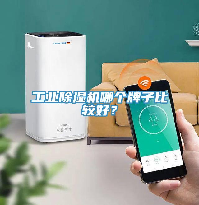 工業(yè)除濕機(jī)哪個(gè)牌子比較好？