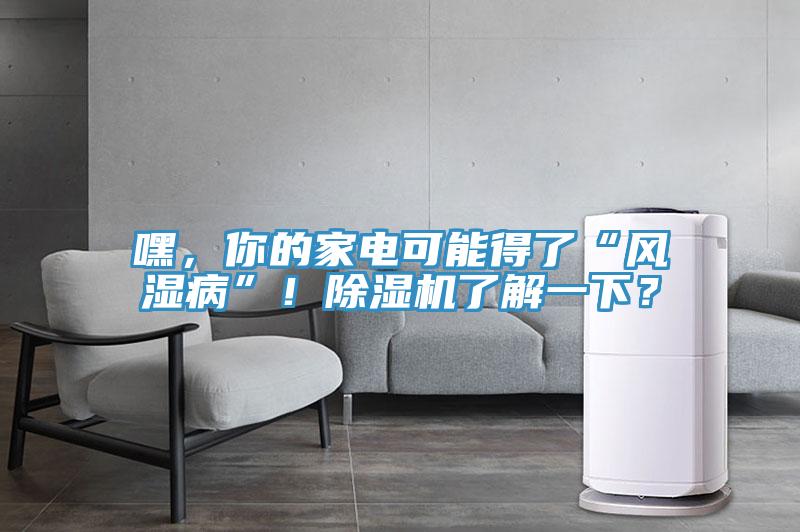 嘿，你的家電可能得了“風濕病”！除濕機了解一下？