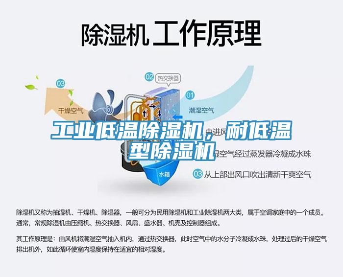 工業低溫除濕機，耐低溫型除濕機