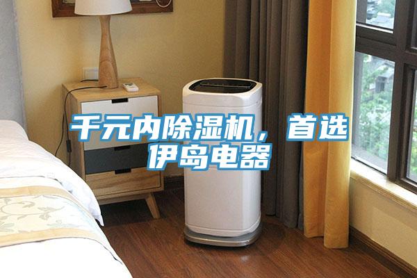 千元內(nèi)除濕機(jī),首選伊島電器
