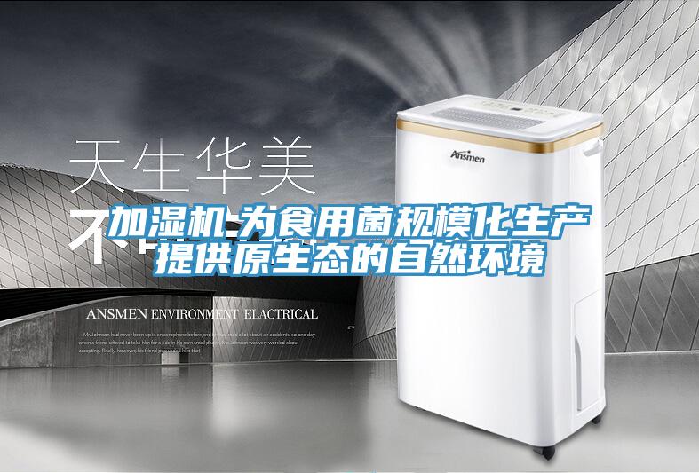加濕機　為食用菌規?；a提供原生態的自然環境