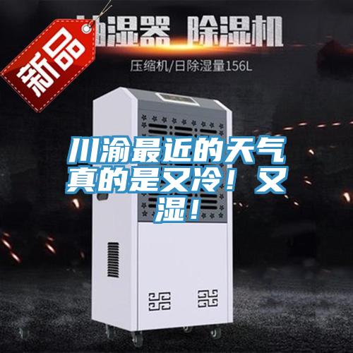 川渝最近的天氣真的是又冷！又濕！