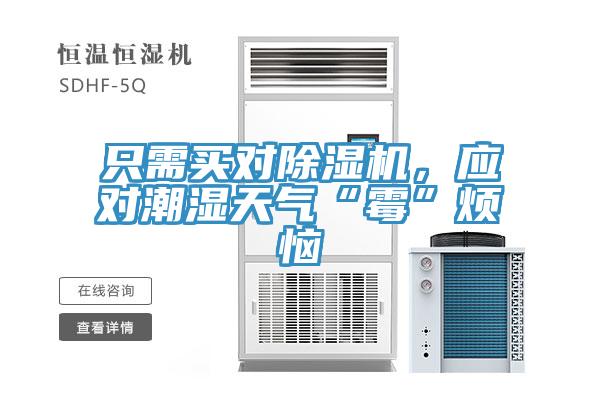 只需買對除濕機，應對潮濕天氣“霉”煩惱