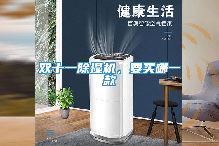 雙十一除濕機，要買哪一款
