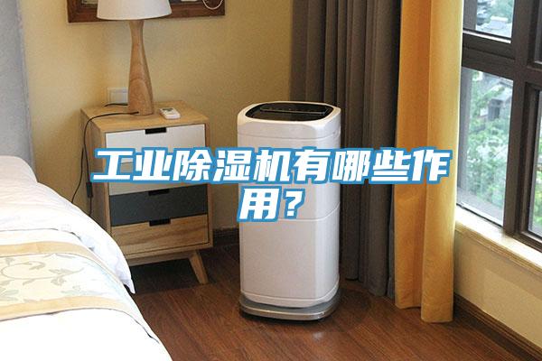 工業(yè)除濕機有哪些作用？