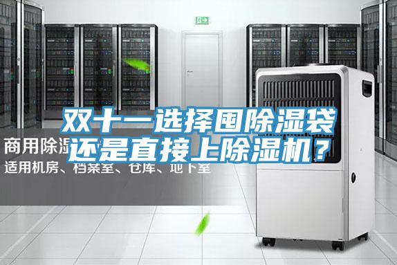 雙十一選擇囤除濕袋還是直接上除濕機？