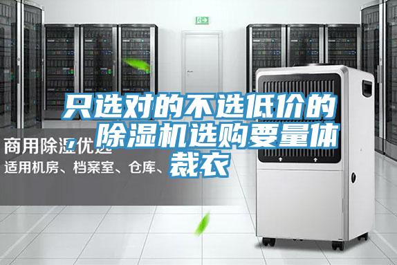 只選對的不選低價的，除濕機選購要量體裁衣