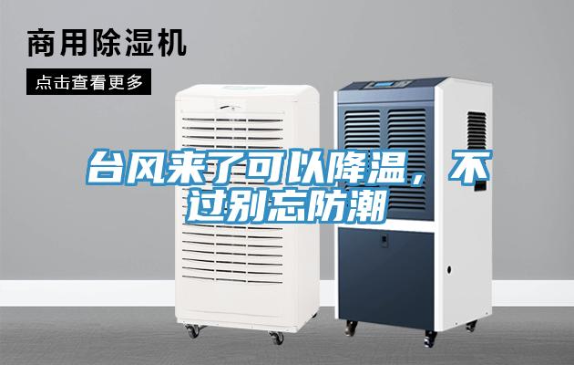 臺風來了可以降溫，不過別忘防潮