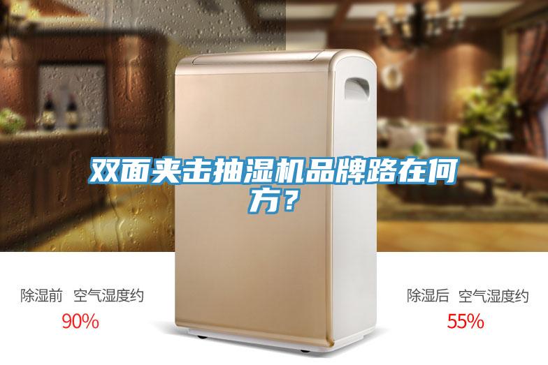 雙面夾擊抽濕機品牌路在何方？