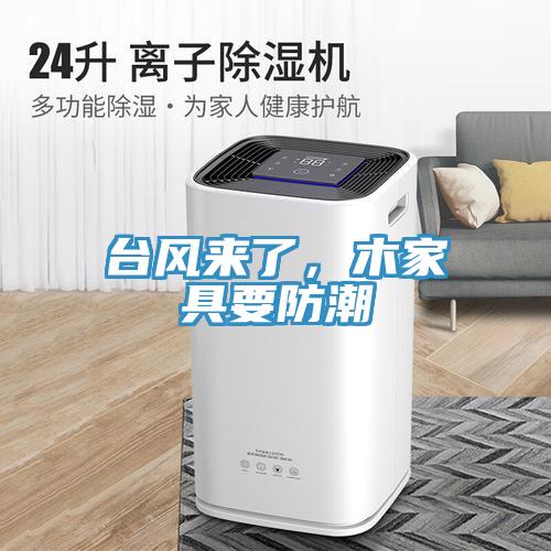 臺風來了，木家具要防潮