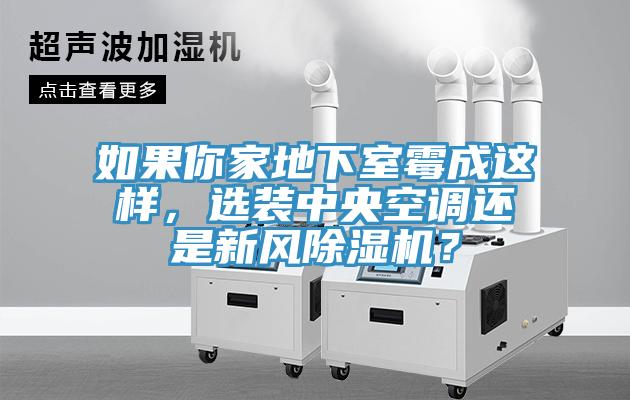 如果你家地下室霉成這樣，選裝中央空調(diào)還是新風(fēng)除濕機？