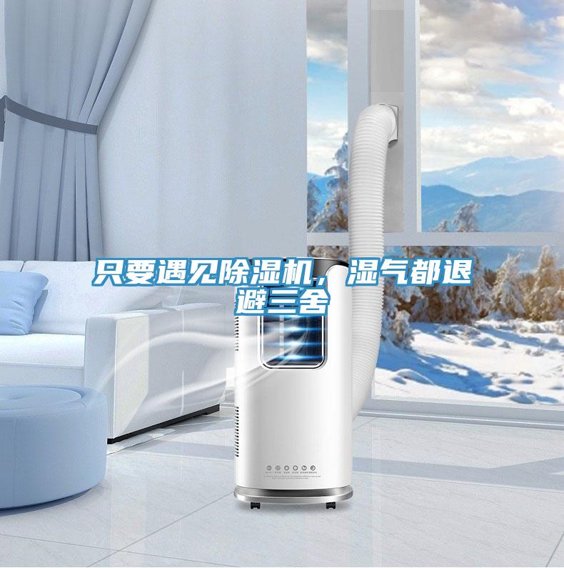只要遇見除濕機，濕氣都退避三舍