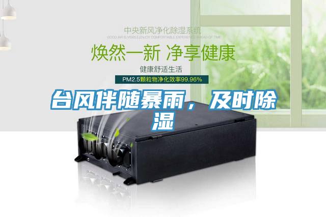 臺風伴隨暴雨，及時除濕