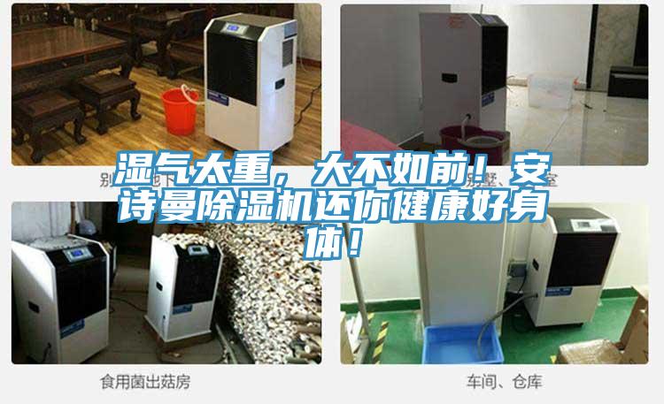 濕氣太重，大不如前！安詩曼除濕機還你健康好身體！