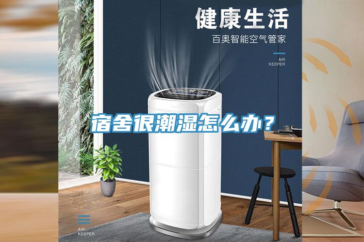 宿舍很潮濕怎么辦？