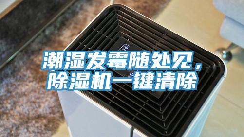 潮濕發(fā)霉隨處見(jiàn)，除濕機(jī)一鍵清除