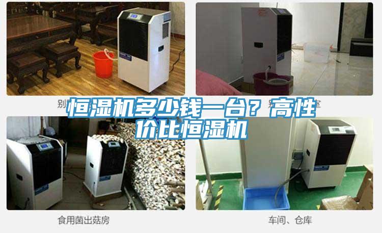 恒濕機(jī)多少錢一臺(tái)？高性價(jià)比恒濕機(jī)