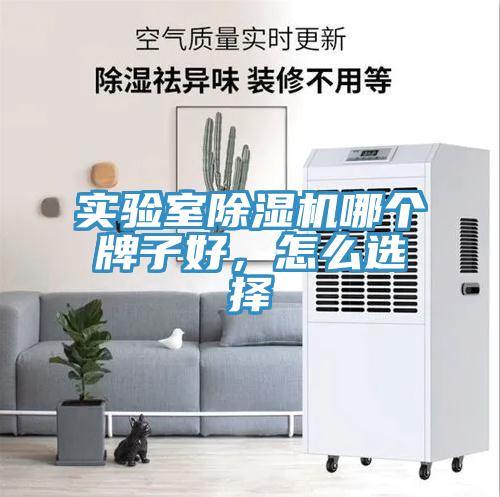 實驗室除濕機哪個牌子好，怎么選擇