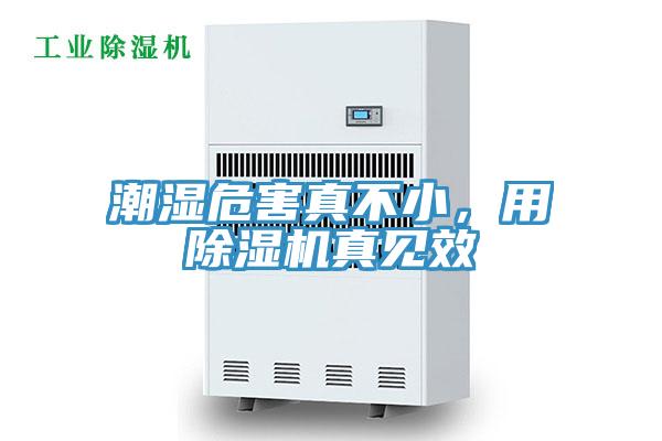 潮濕危害真不小，用除濕機真見效