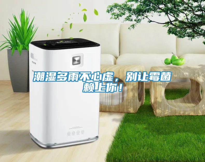 潮濕多雨不心虛，別讓霉菌賴上你！