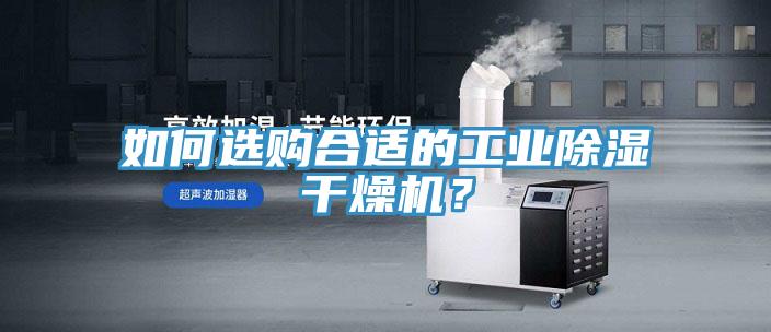如何選購合適的工業除濕干燥機？