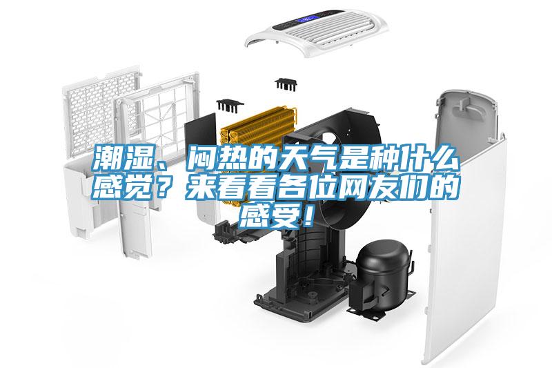 潮濕、悶熱的天氣是種什么感覺？來看看各位網友們的感受！