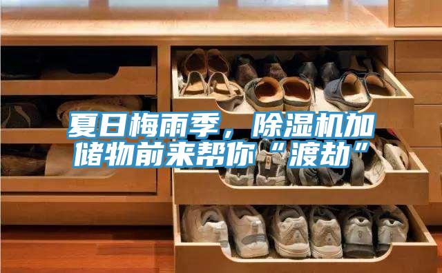 夏日梅雨季，除濕機加儲物前來幫你“渡劫”