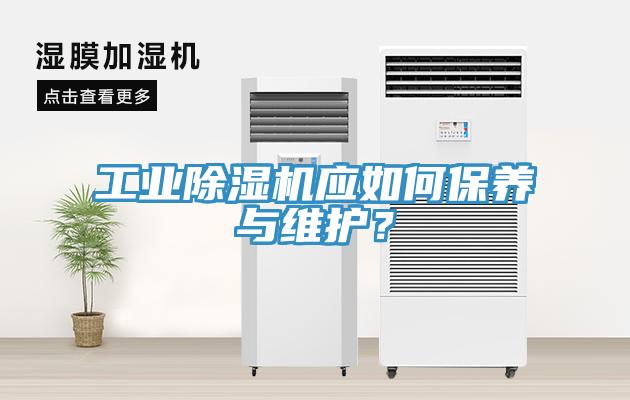 工業(yè)除濕機(jī)應(yīng)如何保養(yǎng)與維護(hù)？