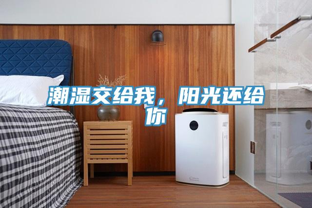 潮濕交給我，陽光還給你