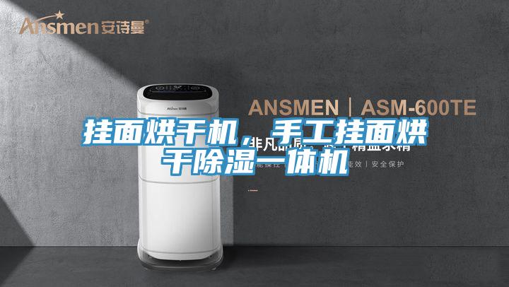 掛面烘干機，手工掛面烘干除濕一體機