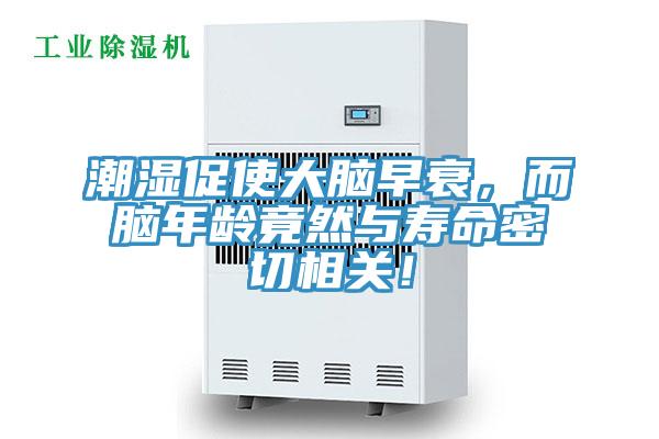 潮濕促使大腦早衰，而腦年齡竟然與壽命密切相關！