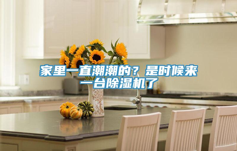 家里一直潮潮的？是時(shí)候來(lái)一臺(tái)除濕機(jī)了