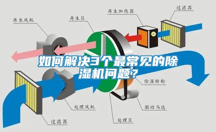 如何解決3個最常見的除濕機問題？