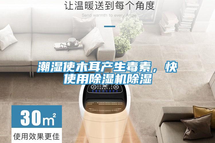 潮濕使木耳產生毒素，快使用除濕機除濕