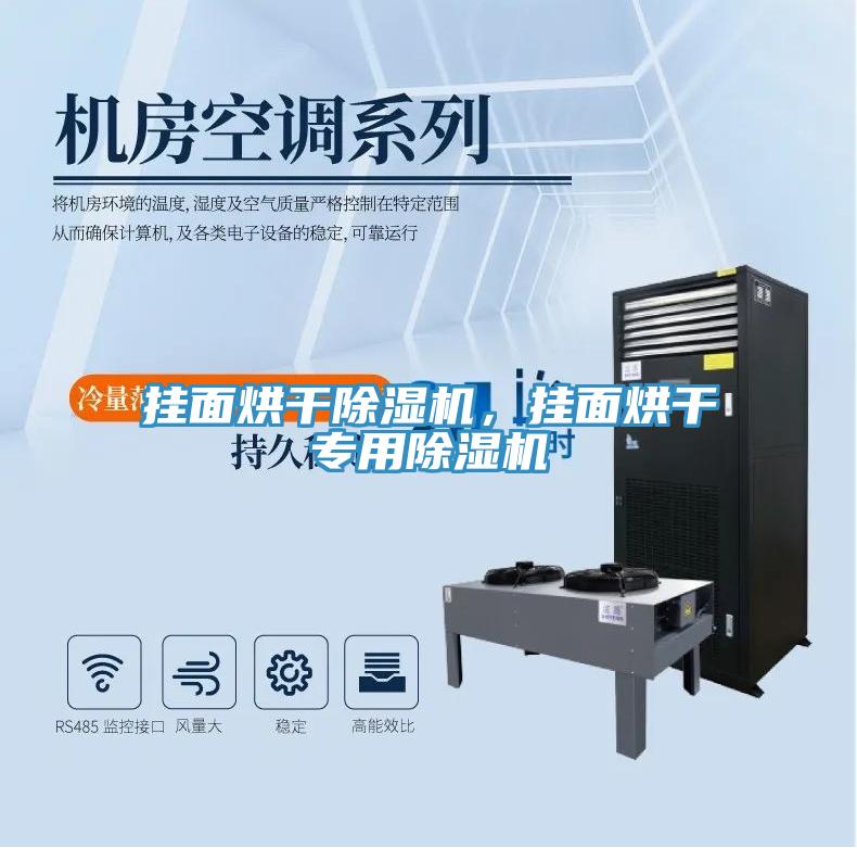 掛面烘干除濕機，掛面烘干專用除濕機