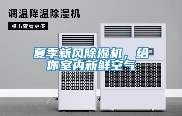 夏季新風除濕機，給你室內新鮮空氣