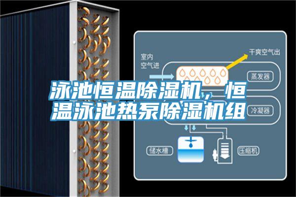 泳池恒溫除濕機，恒溫泳池熱泵除濕機組