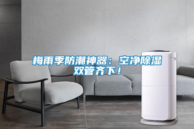 梅雨季防潮神器：空凈除濕雙管齊下！