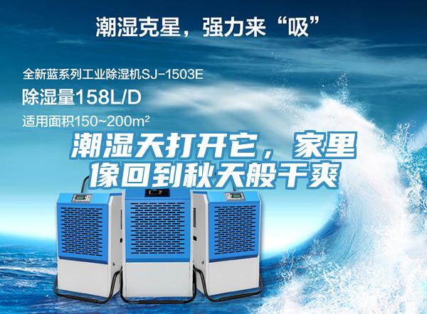 潮濕天打開(kāi)它，家里像回到秋天般干爽