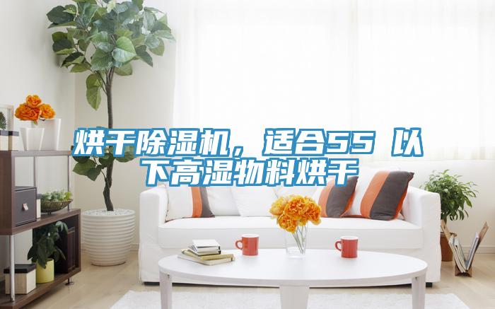 烘干除濕機(jī)，適合55℃以下高濕物料烘干
