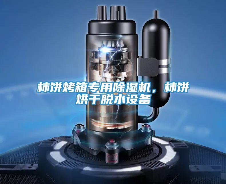 柿餅烤箱專用除濕機，柿餅烘干脫水設備