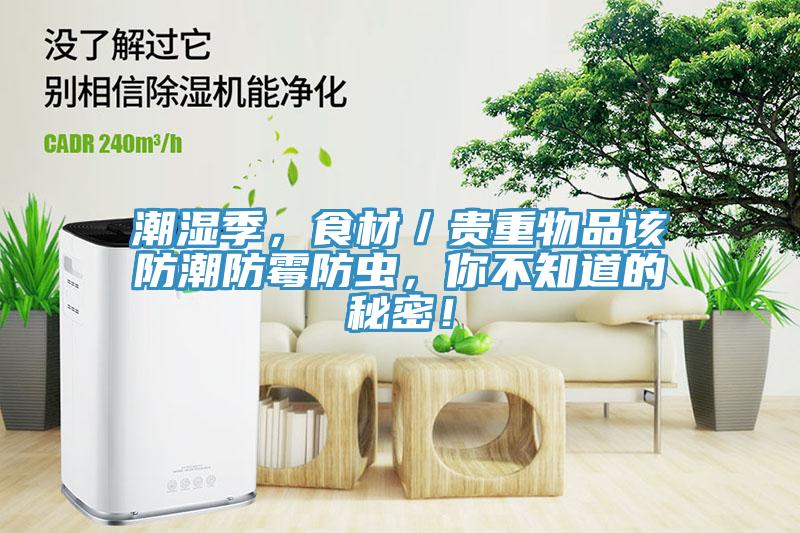 潮濕季，食材／貴重物品該防潮防霉防蟲，你不知道的秘密！